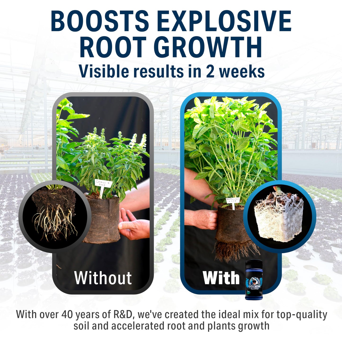 Great White Mycorrhizal Fungi (1 ounce)
