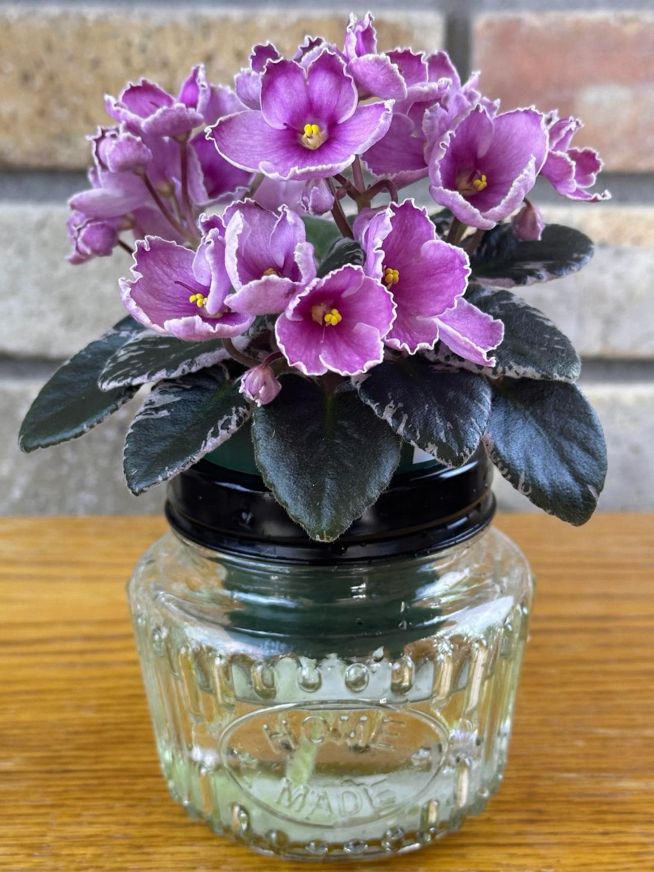 8-Ounce Mason Jars (6 Pack)