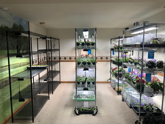 4-Tier Plant Stand - Lights NOT Included